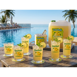 çardak konsantre meyve aromalı içecek 1+9 limonata 5 lt 3 ADET