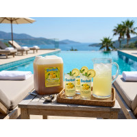 çardak konsantre meyve aromalı içecek 1+5 limonata 5 kg 
