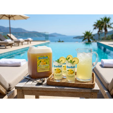 çardak konsantre meyve aromalı içecek 1+5 limonata 5 kg