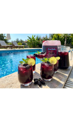 çardak konsantre meyve aromalı içecek 1+5 karadut 5 lt