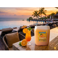 çardak konsantre meyve aromalı içecek 1+5 portakal 5 lt