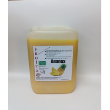 froita konsantre meyve aromalı şurup 1+9 ananas 5 lt