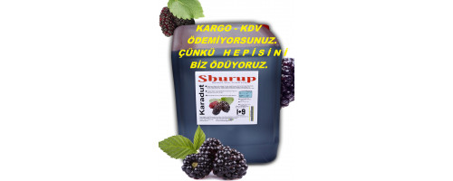 Shurup Konsantre Meyve Aromalı İçecek  5,7 kg   Karadut   1+9
