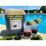 Shurup Konsantre Meyve Aromalı İçecek  5,7 kg   Karadut   1+9