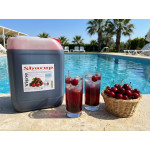 Shurup Konsantre Meyve Aromalı İçecek  5,7 kg   Vişne  1+9